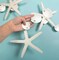 White Finger Starfish Sea Shell Garland Ocean Coastal Nautical Party